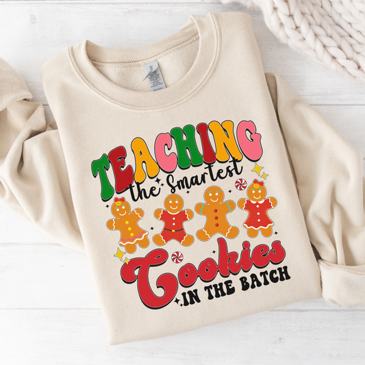 Teaching Smart Teachers Sweatshirt